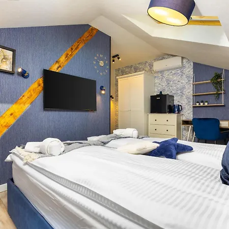 Penzion Kapana Art Sky Parking Included 3*